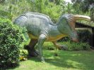PICTURES/Dinosaur World Florida/t_IMG_5990.jpg